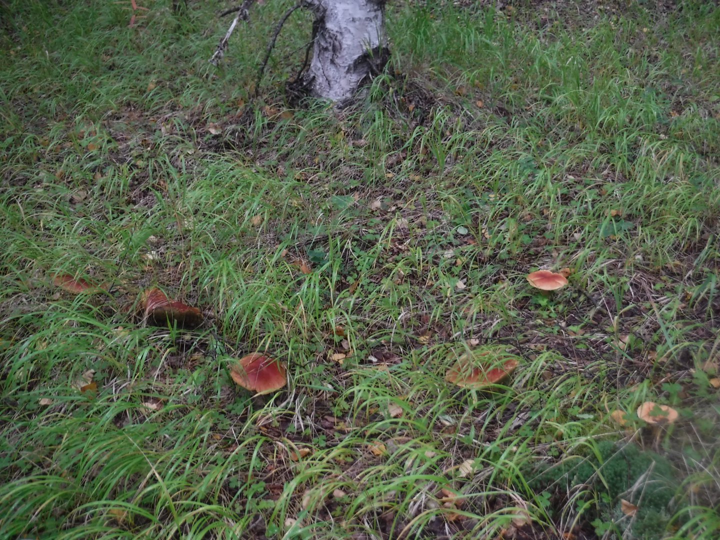 DSCF3777.JPG