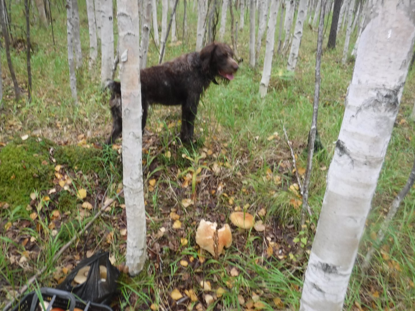 DSCF3780.JPG
