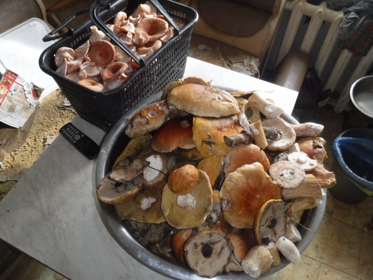 DSCF3802.JPG