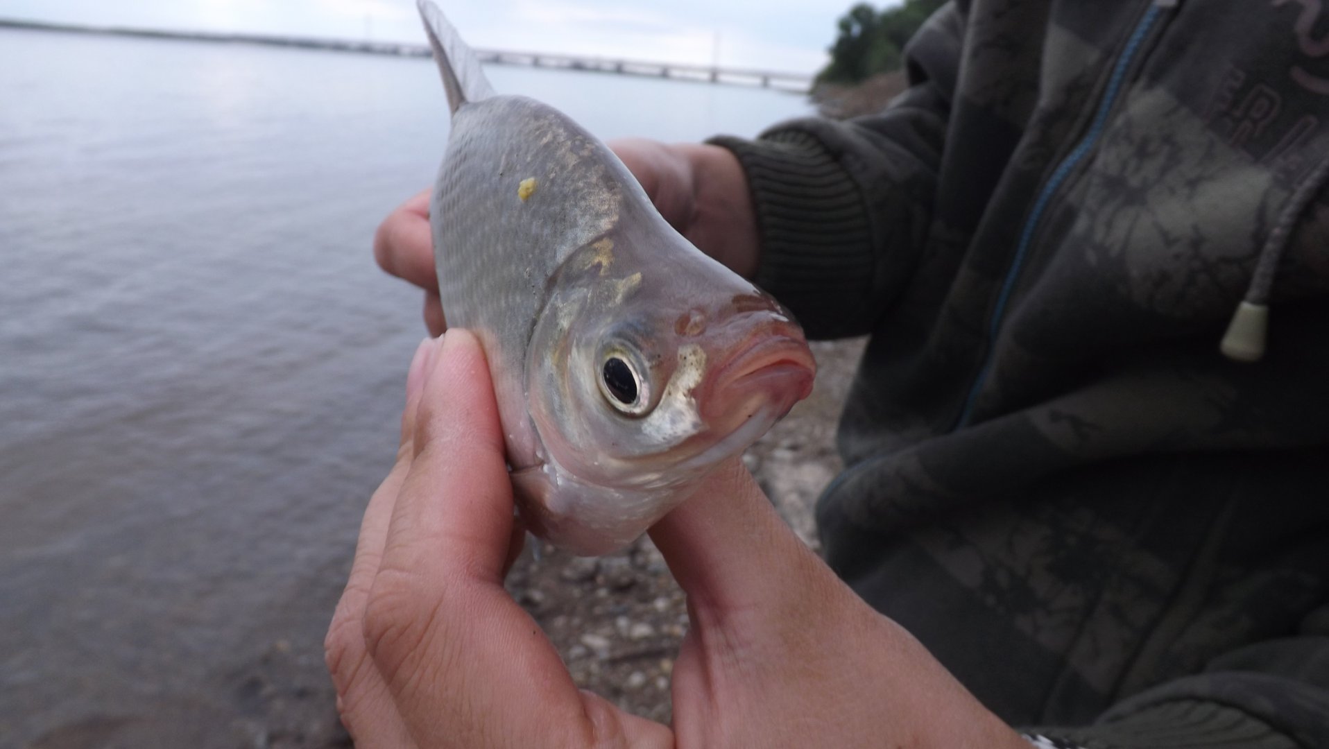 DSCF3803.JPG