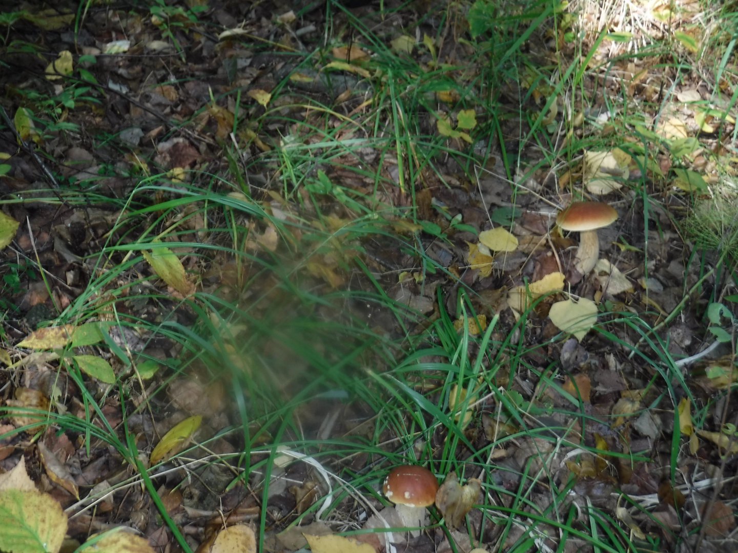 DSCF3848.JPG