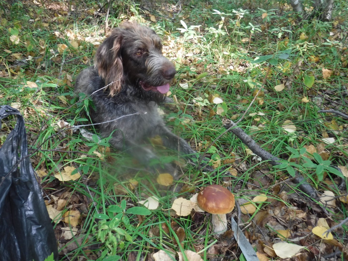 DSCF3850.JPG