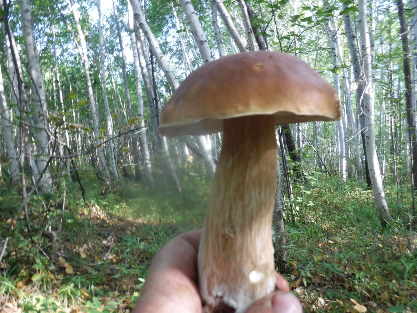 DSCF3851.JPG