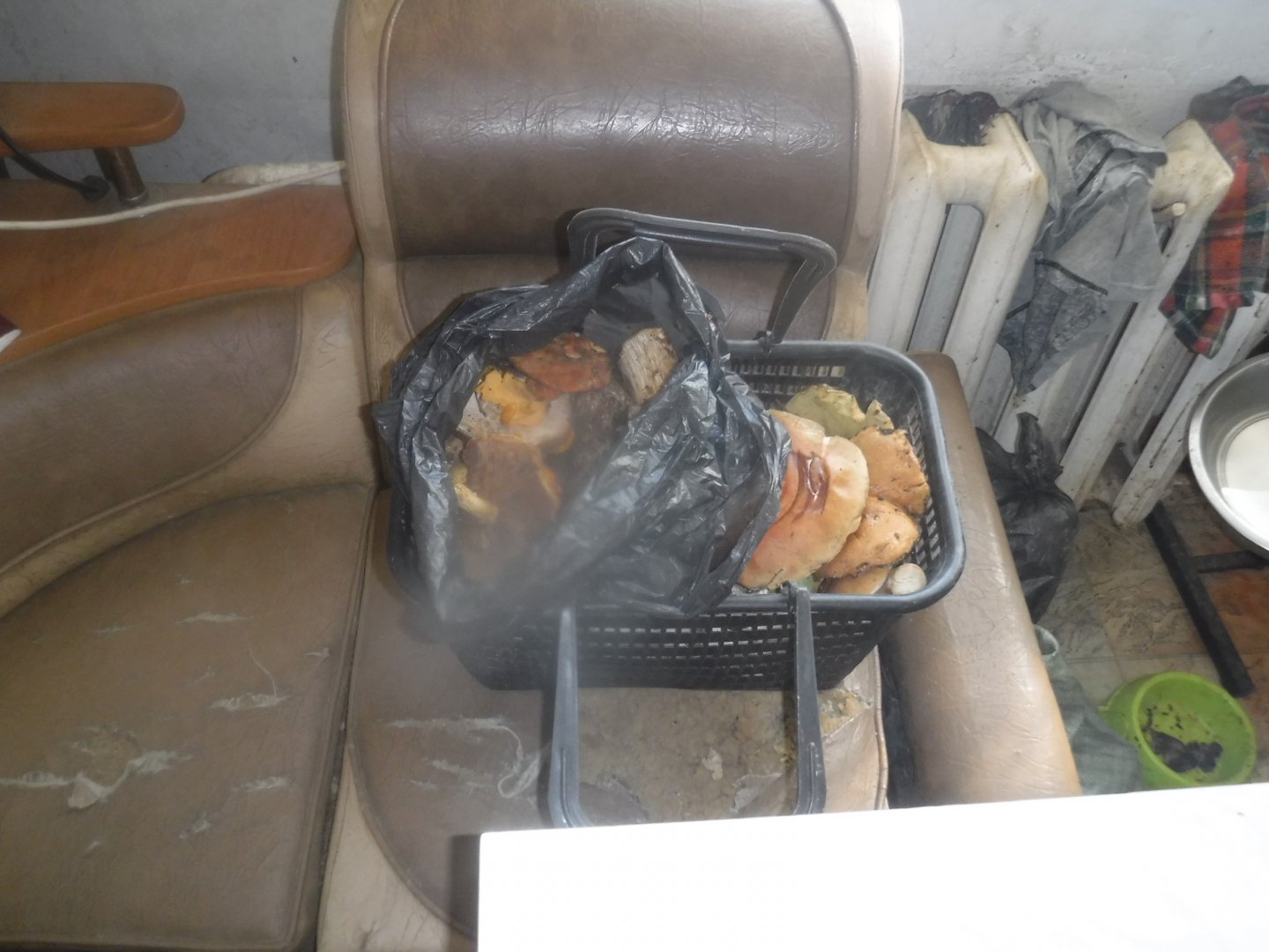 DSCF3853.JPG
