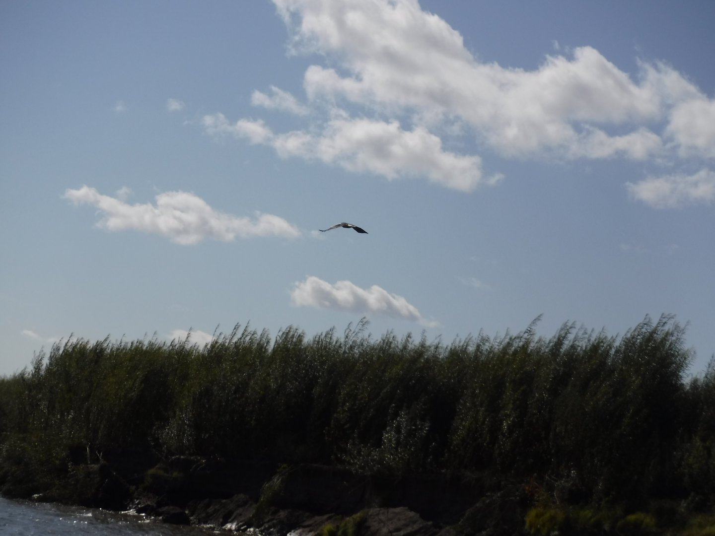 DSCF3861.JPG