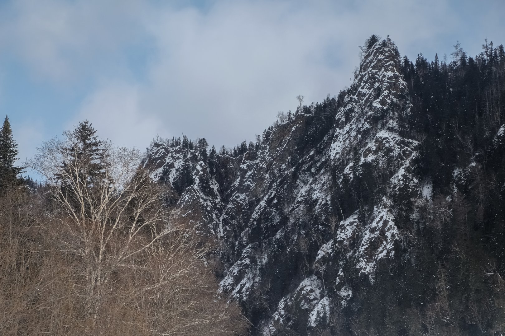 DSCF3864.jpg