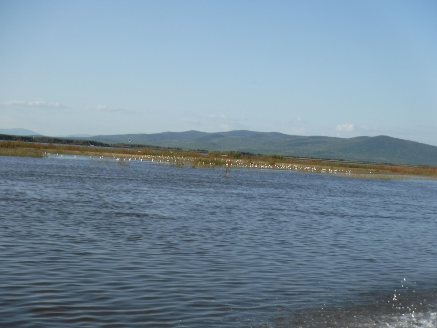 DSCF3868.JPG