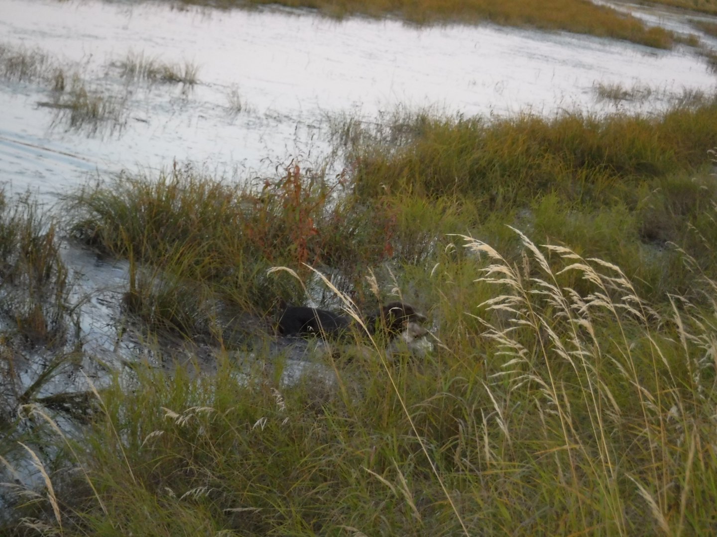 DSCF3870.JPG
