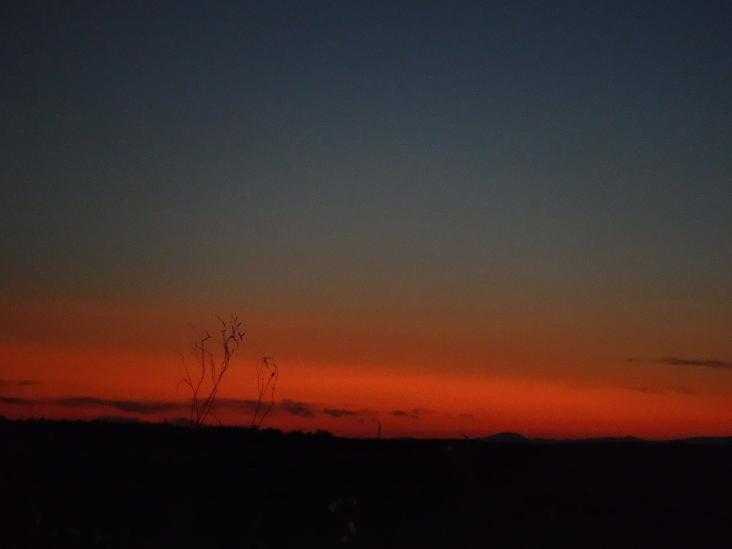 DSCF3872.JPG