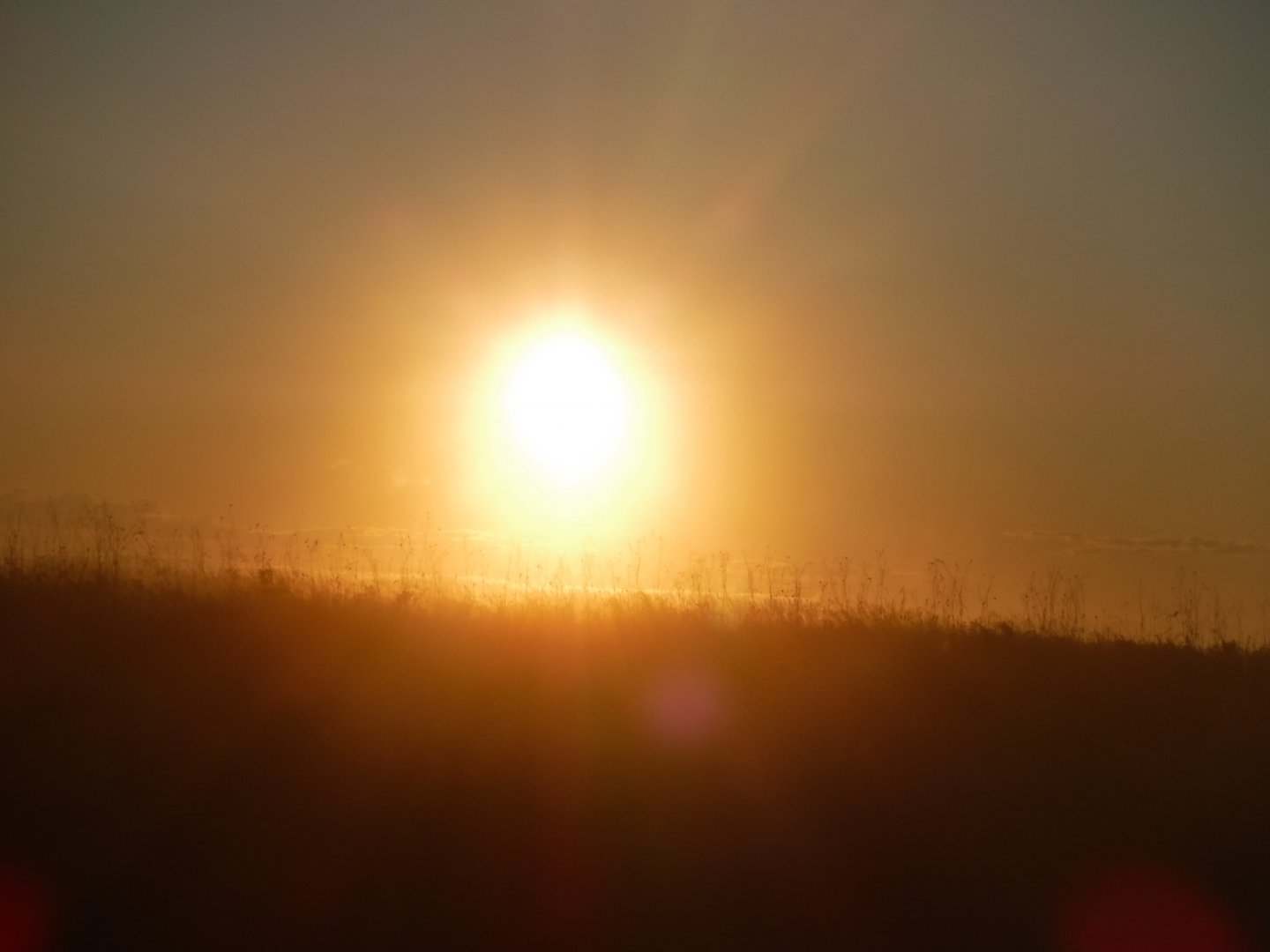 DSCF3878.JPG