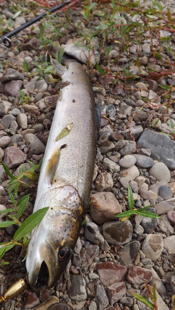 DSCF3891.JPG