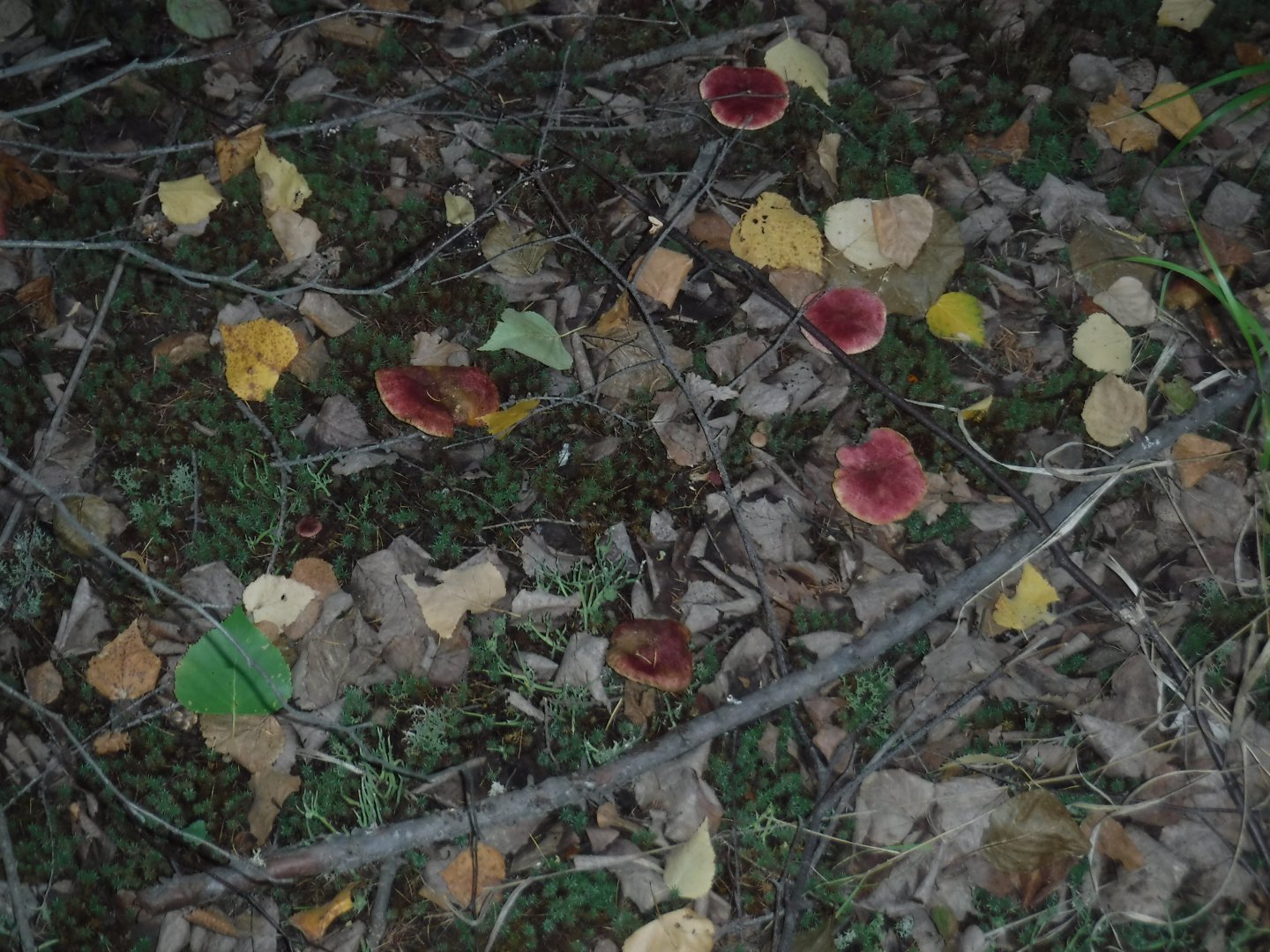DSCF3892.JPG