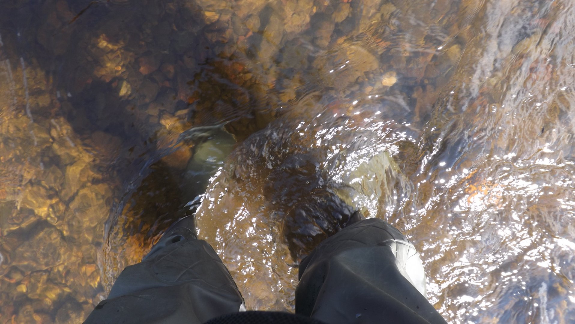 DSCF3904.JPG