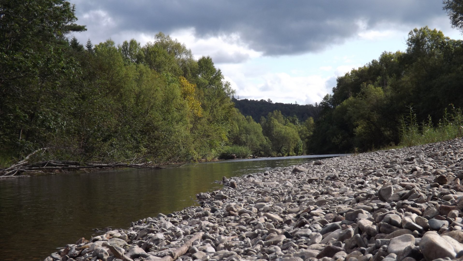 DSCF3916.JPG