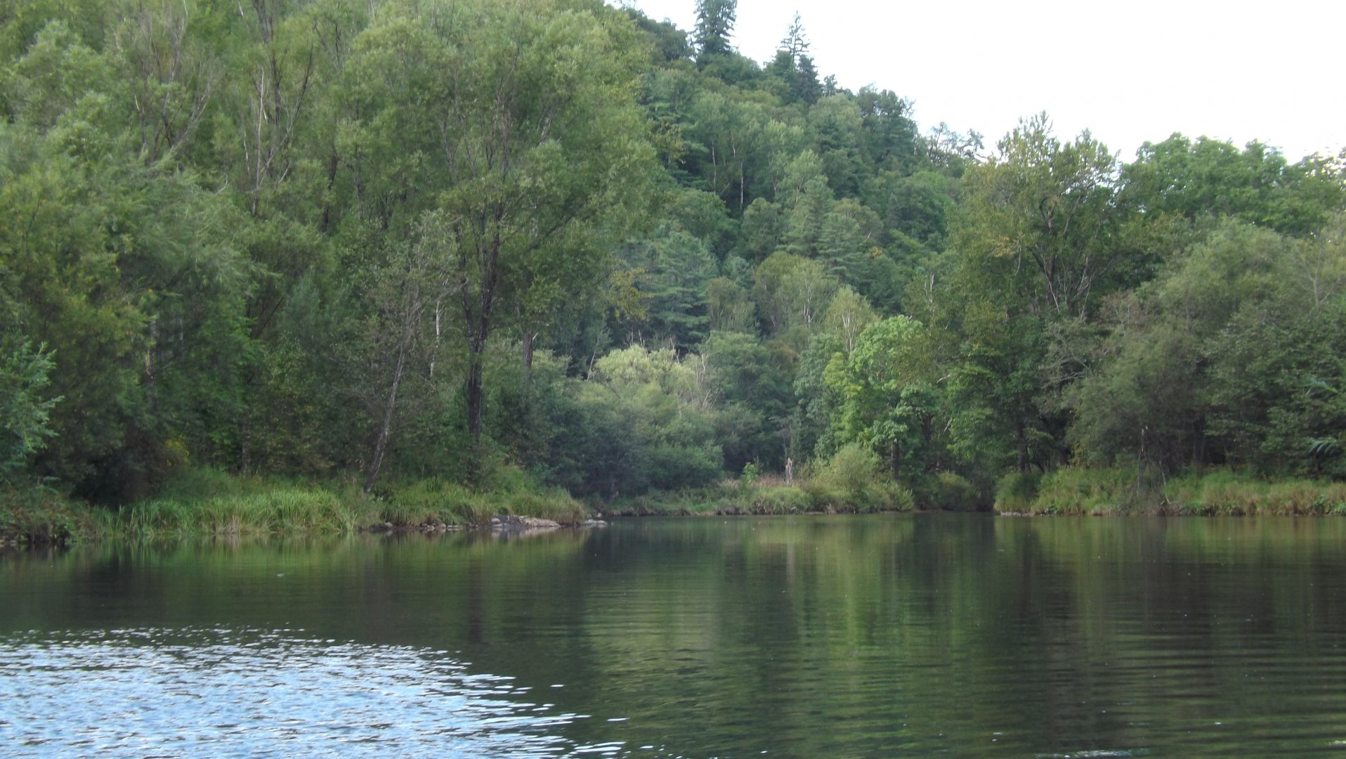 DSCF3925.JPG