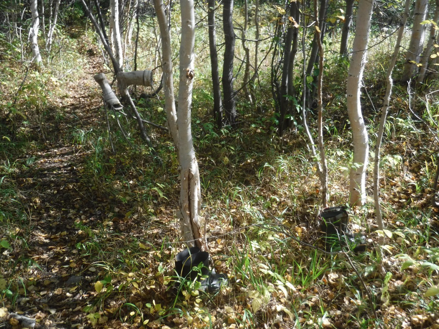 DSCF3941.JPG