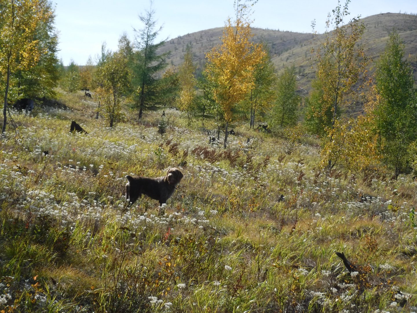 DSCF3944.JPG