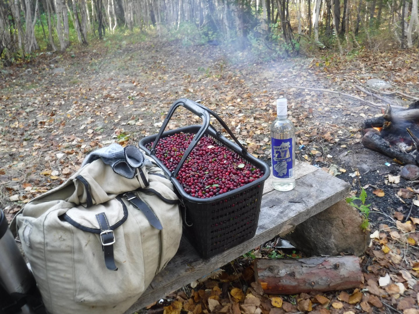 DSCF3959.JPG