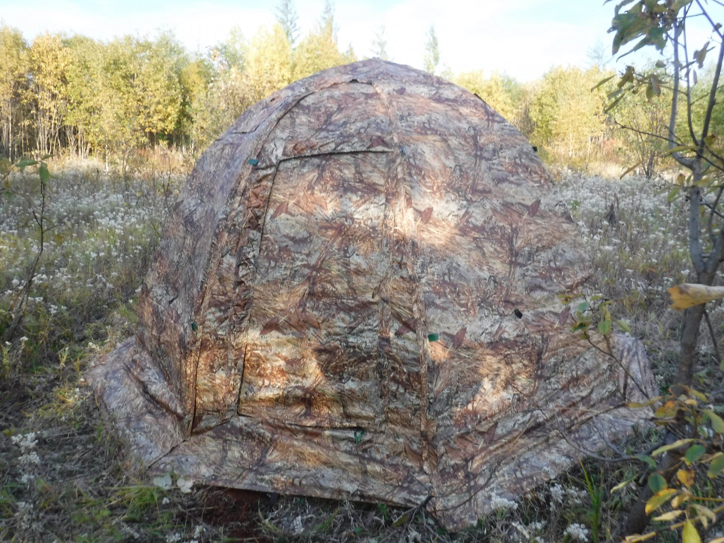 DSCF3963.JPG