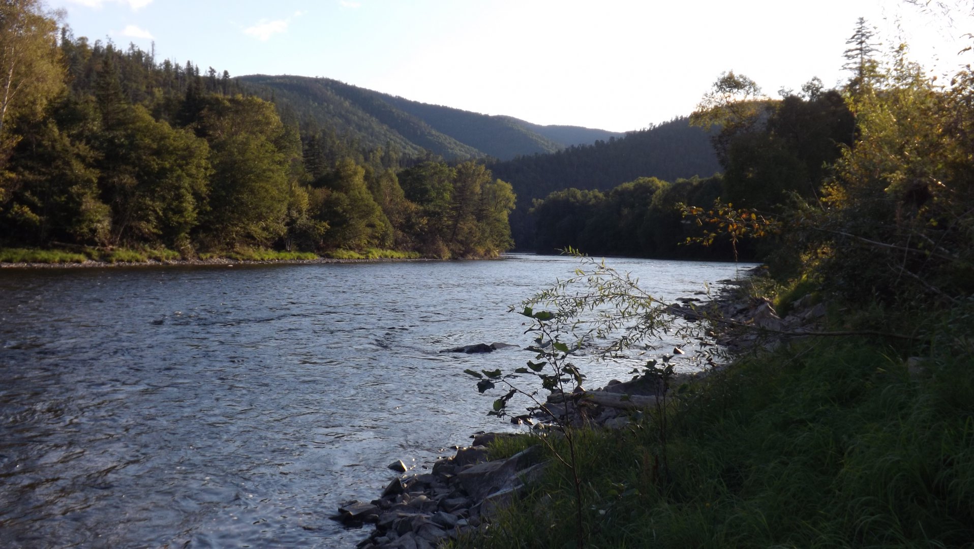 DSCF3972.JPG