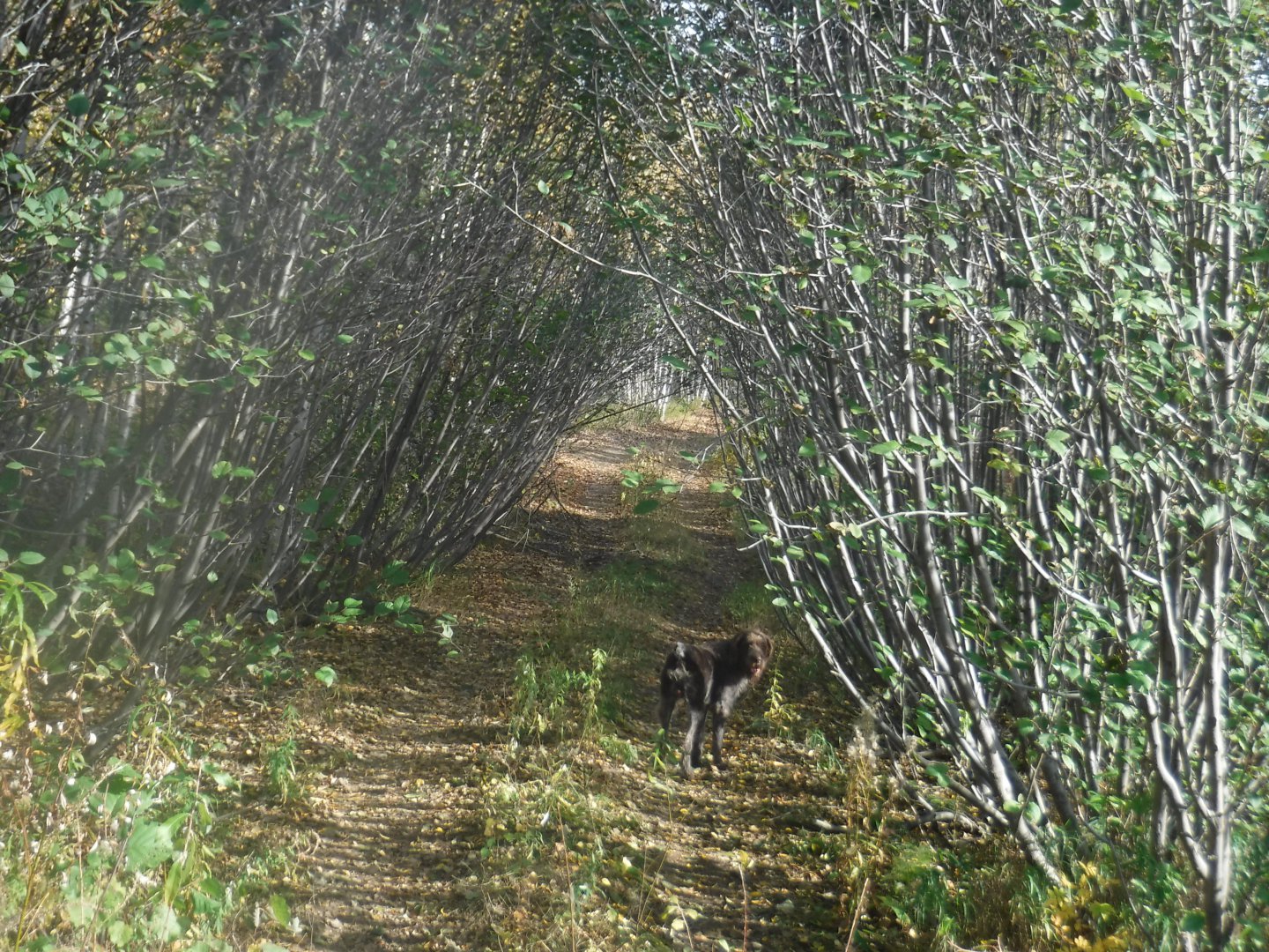 DSCF3992.JPG