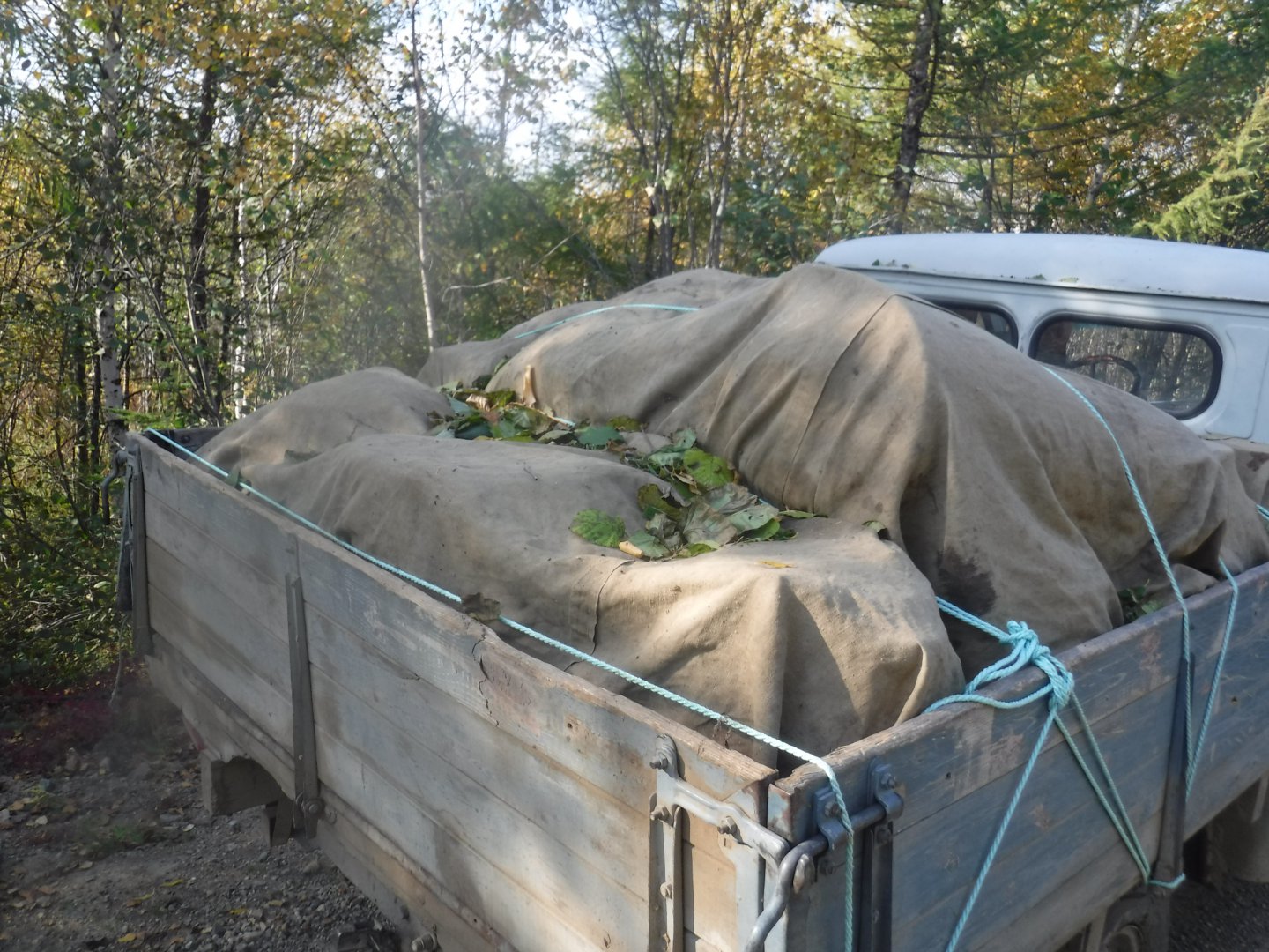 DSCF3993.JPG