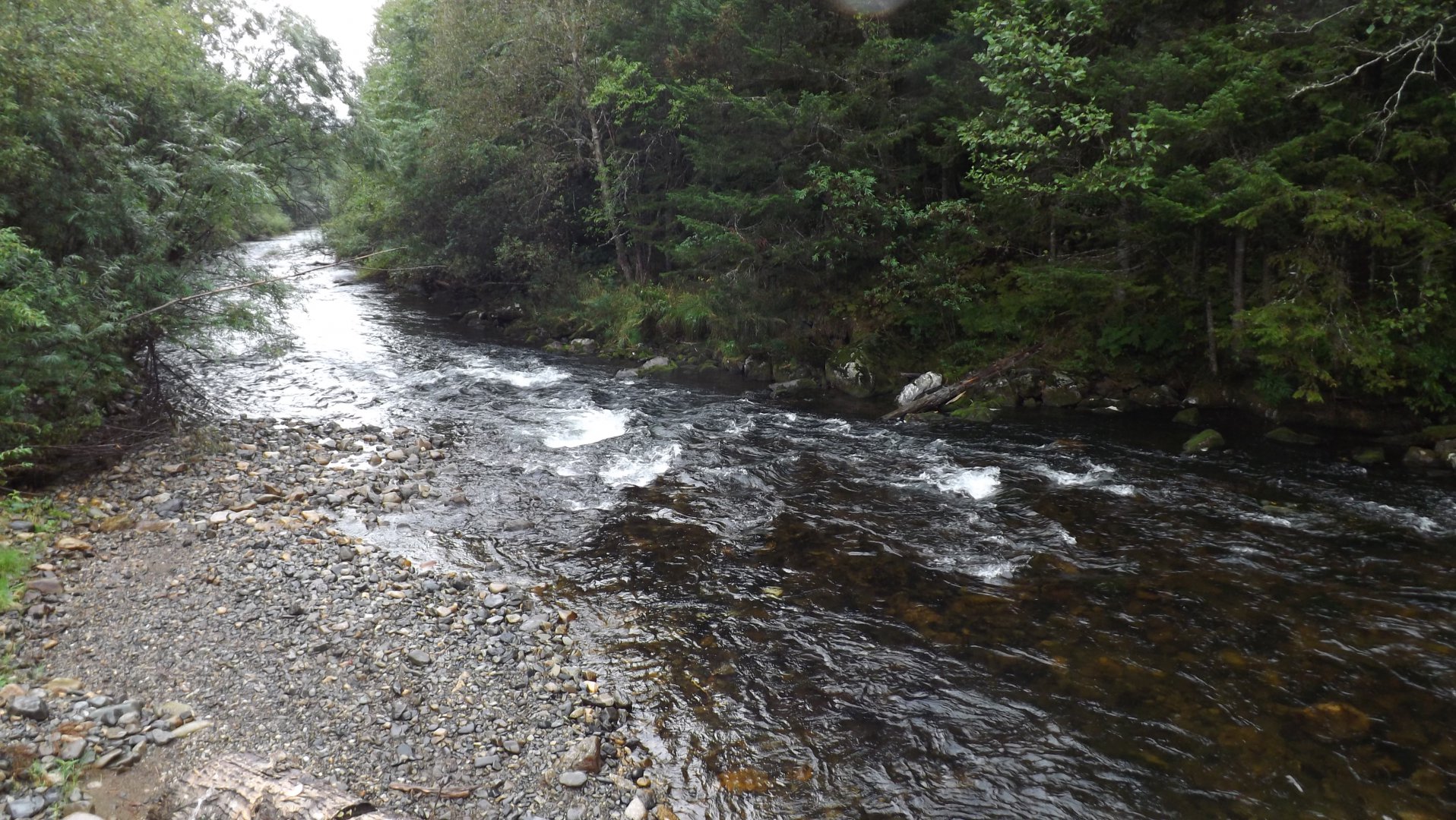DSCF3999.JPG