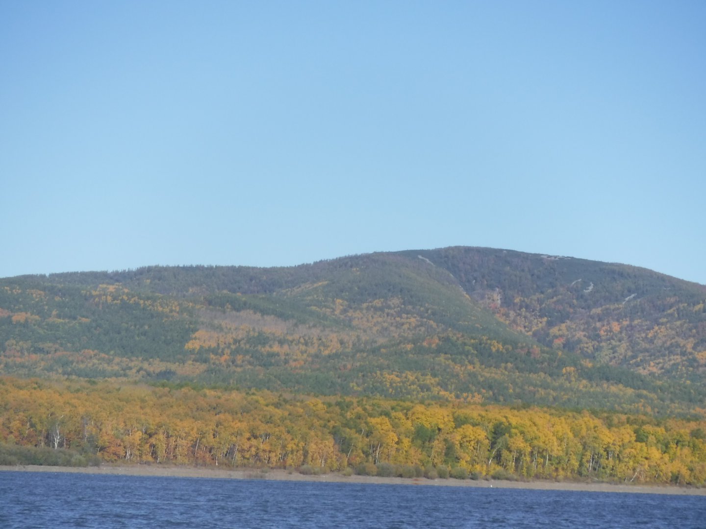 DSCF4007.JPG