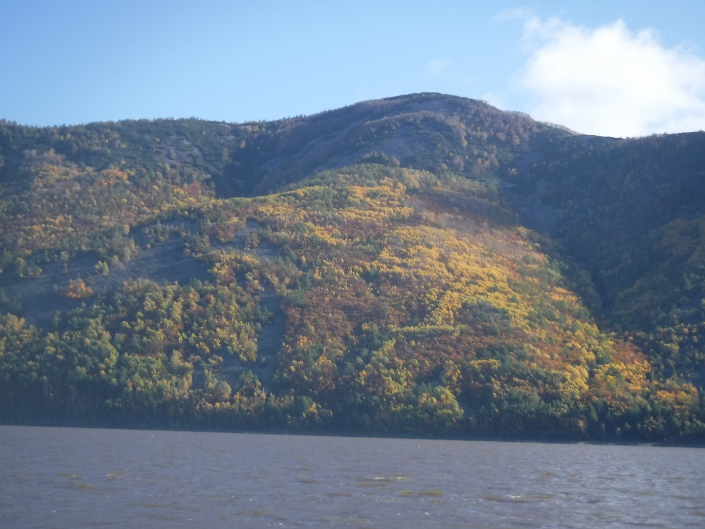 DSCF4009.JPG