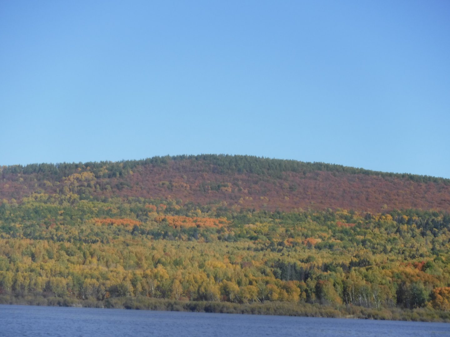 DSCF4013.JPG