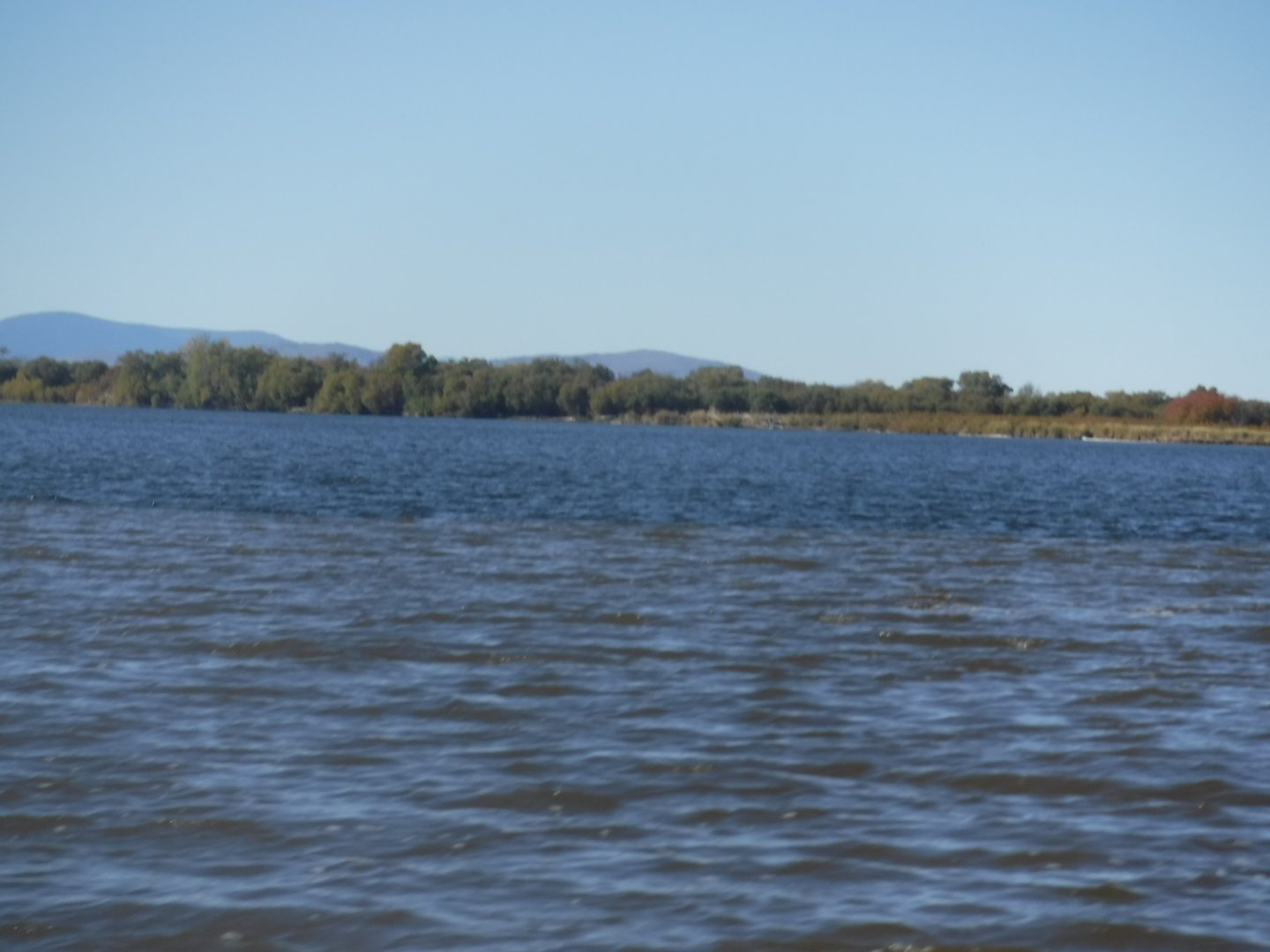 DSCF4025.JPG