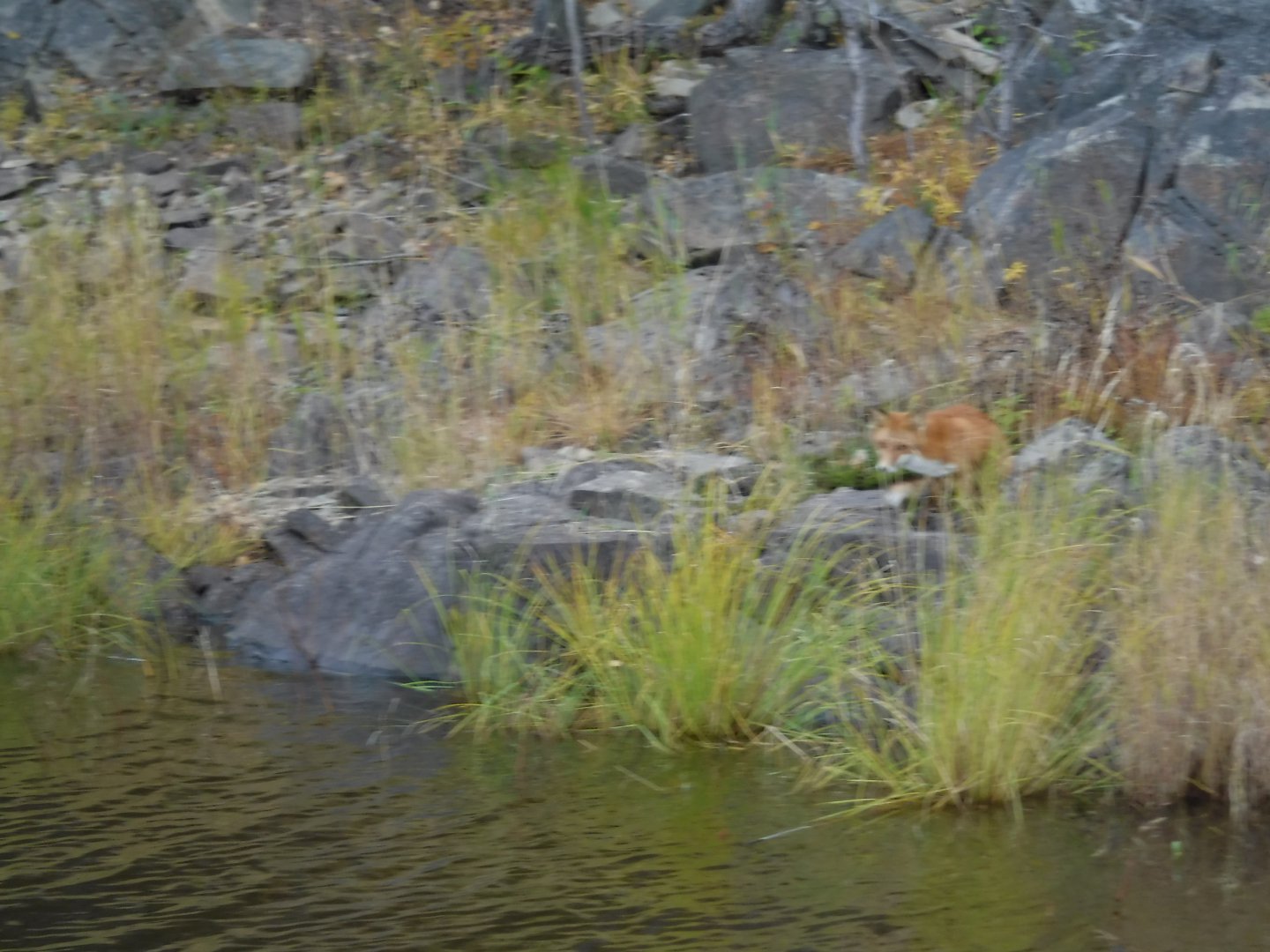 DSCF4074.JPG