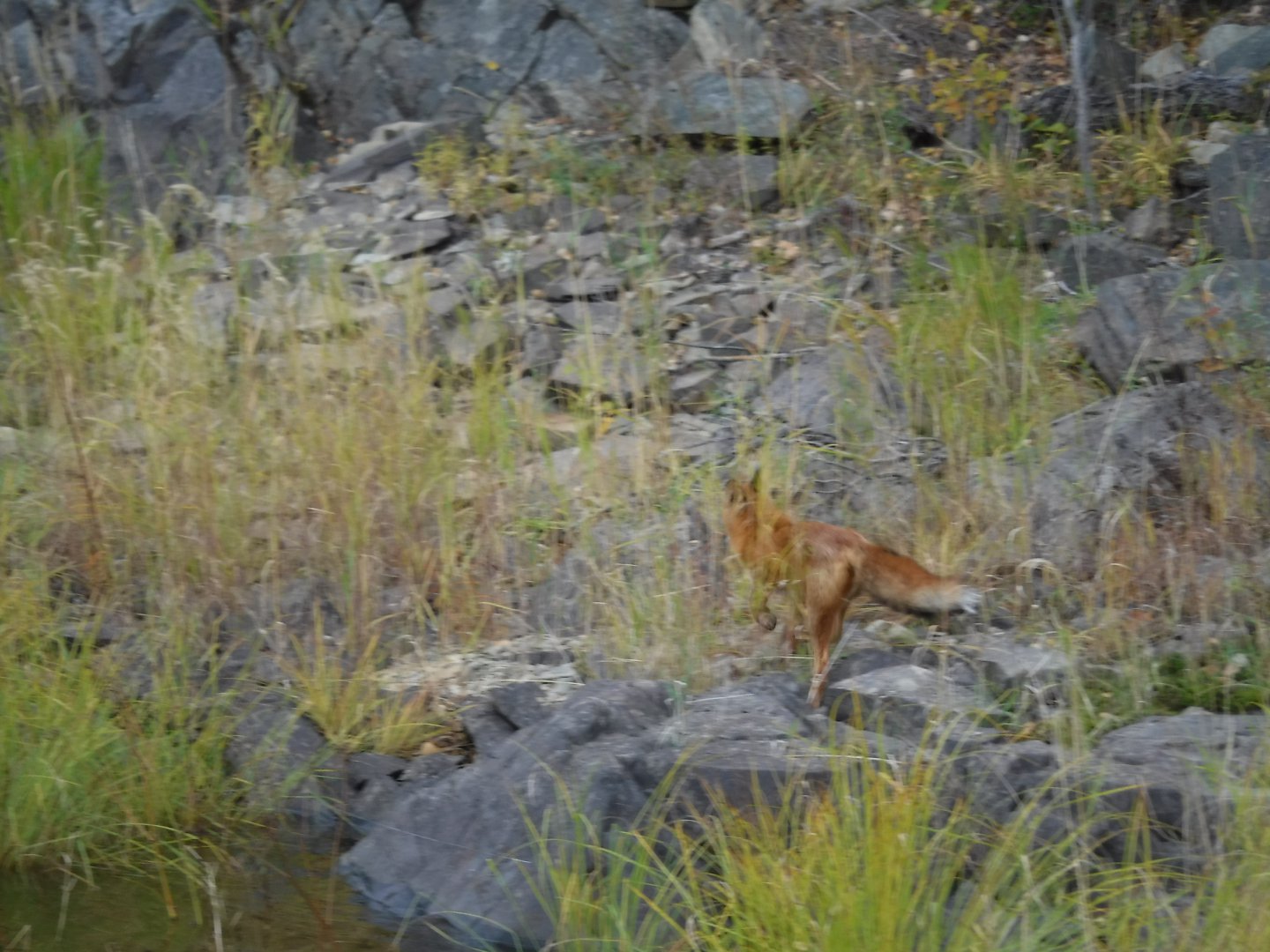 DSCF4076.JPG