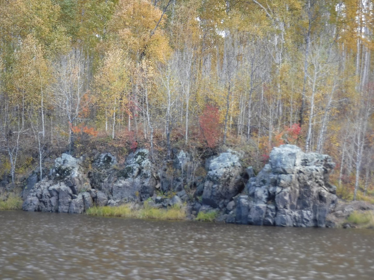 DSCF4145.JPG
