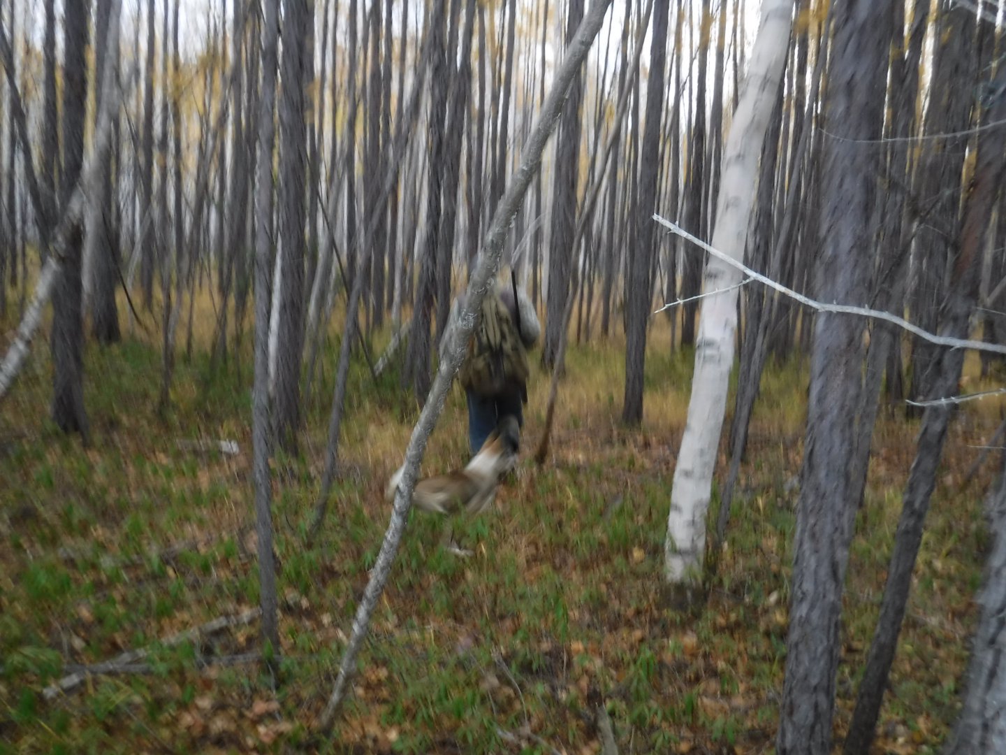 DSCF4151.JPG
