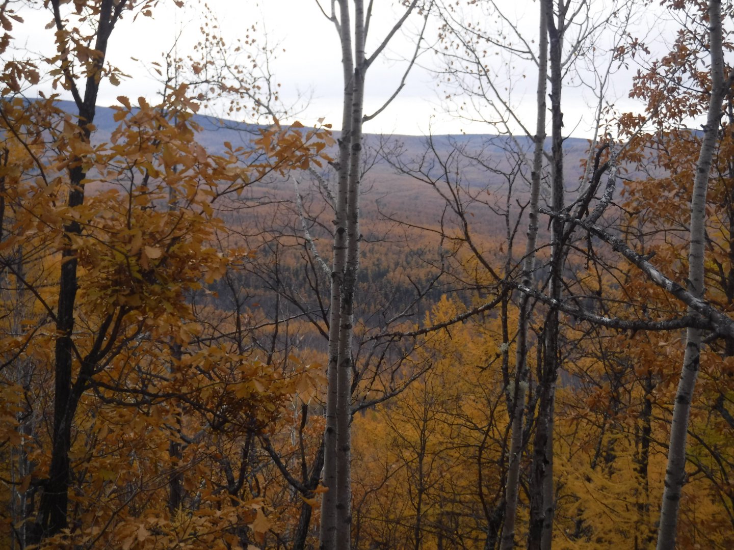 DSCF4155.JPG