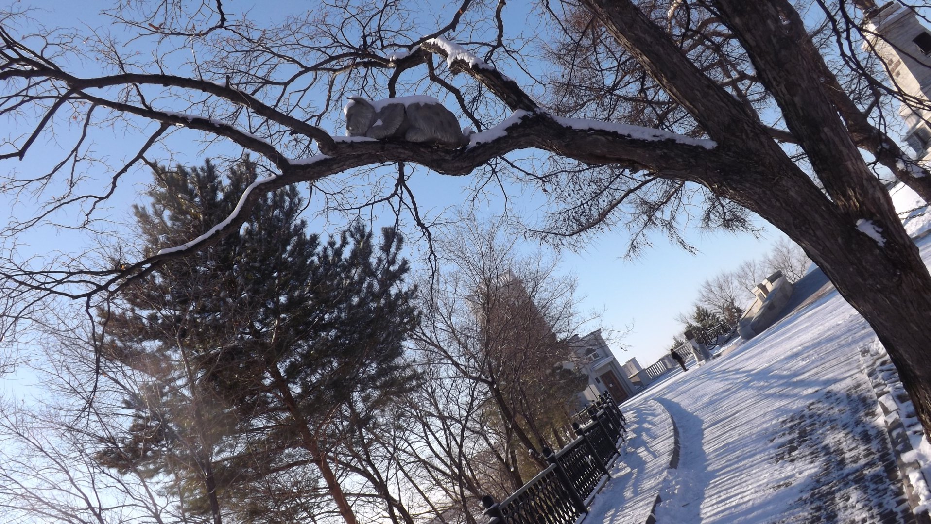 DSCF4174.JPG