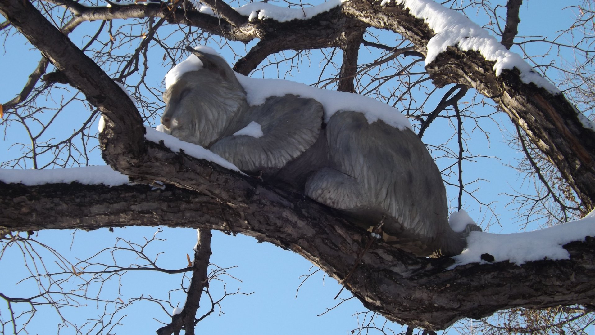 DSCF4175.JPG