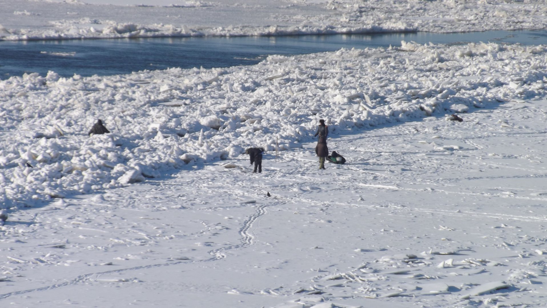 DSCF4178.JPG