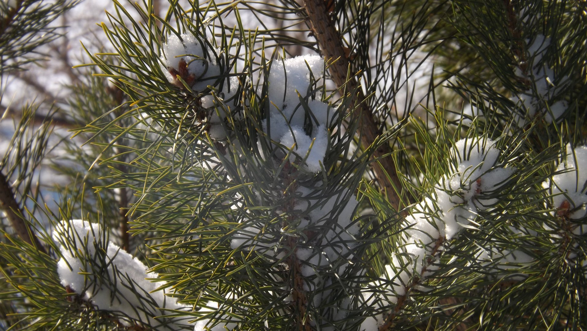 DSCF4189.JPG