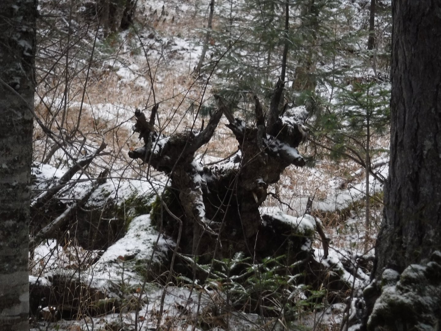DSCF4254.JPG