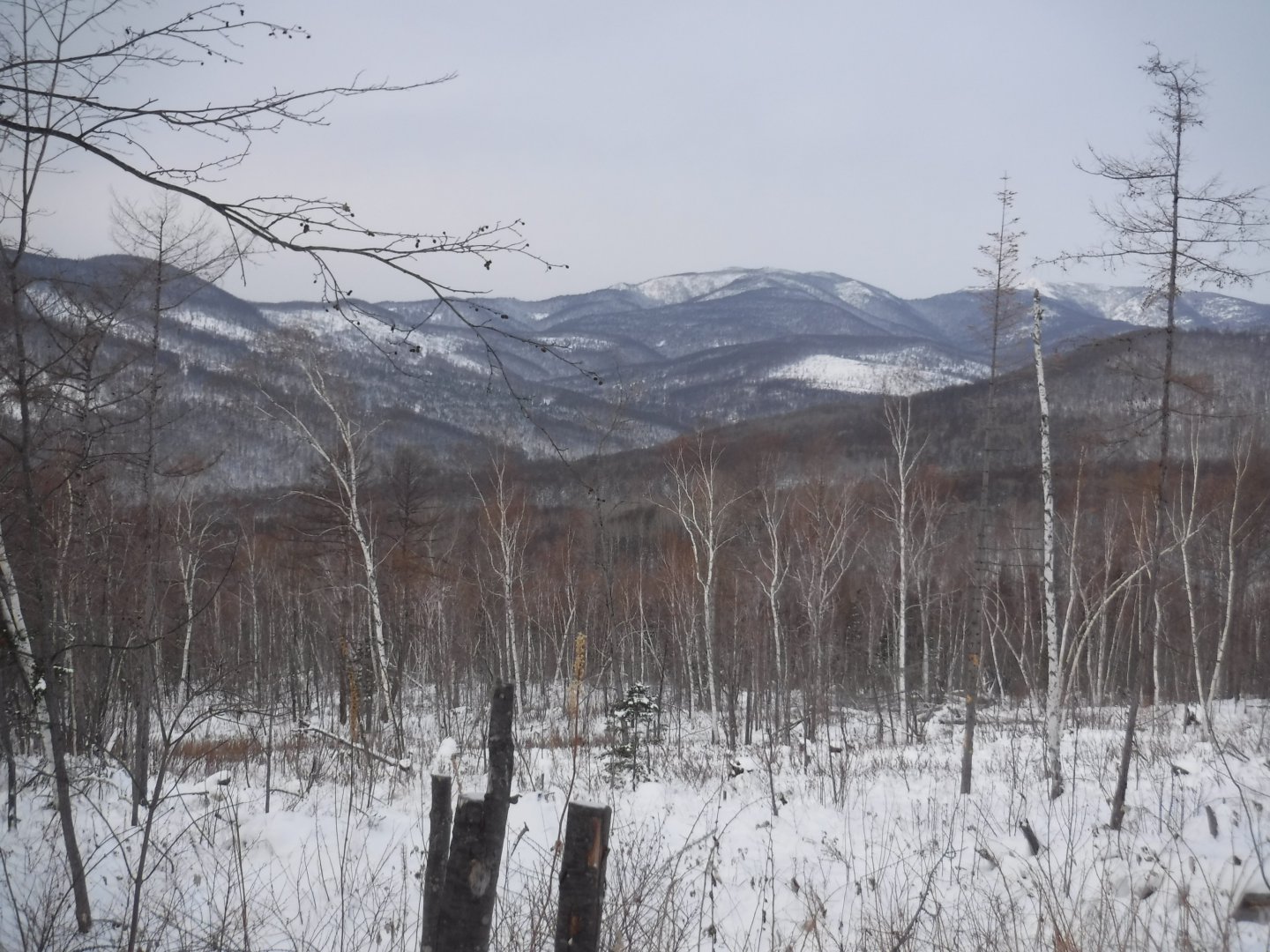DSCF4390.JPG
