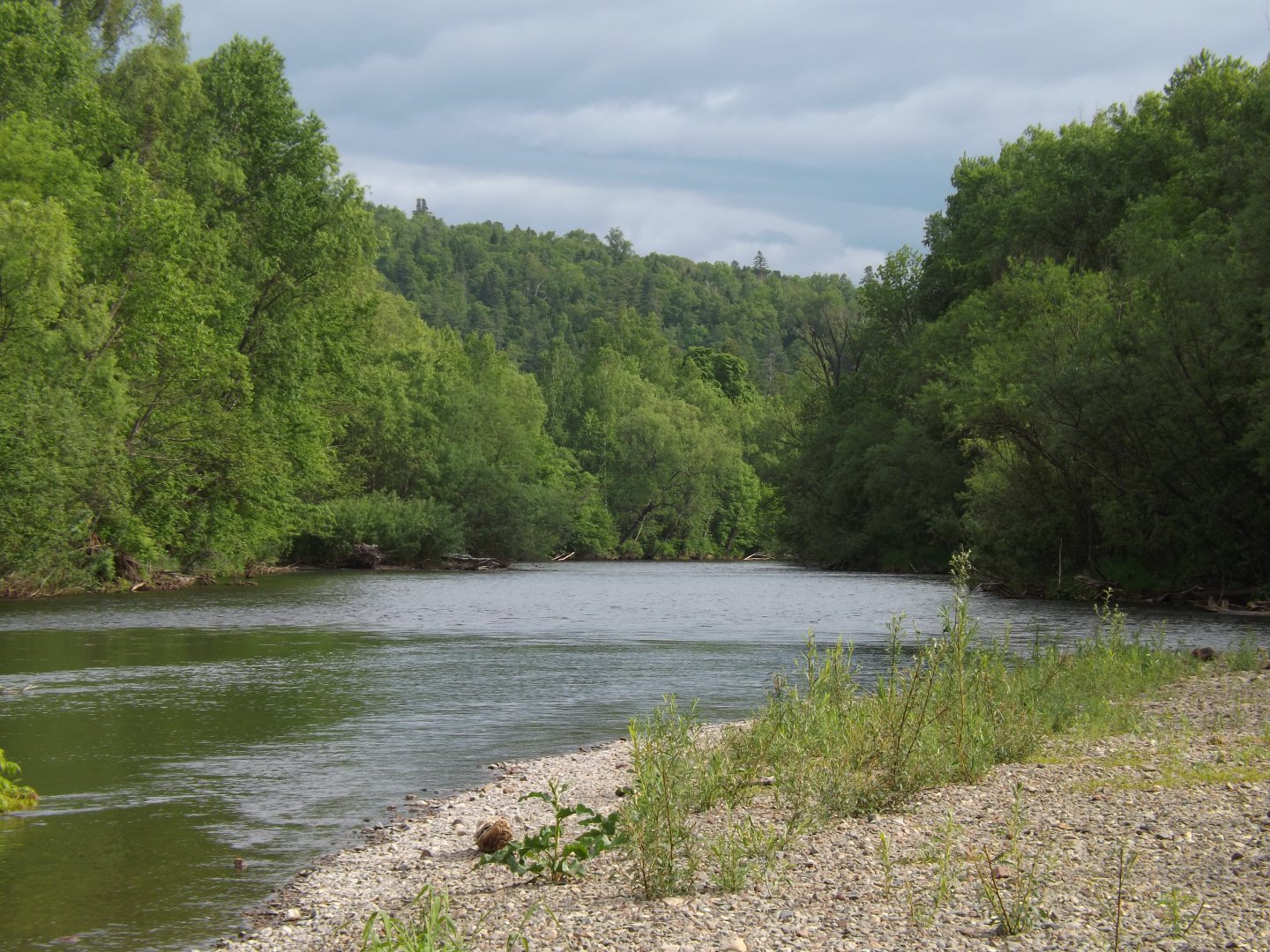 DSCF4395.JPG