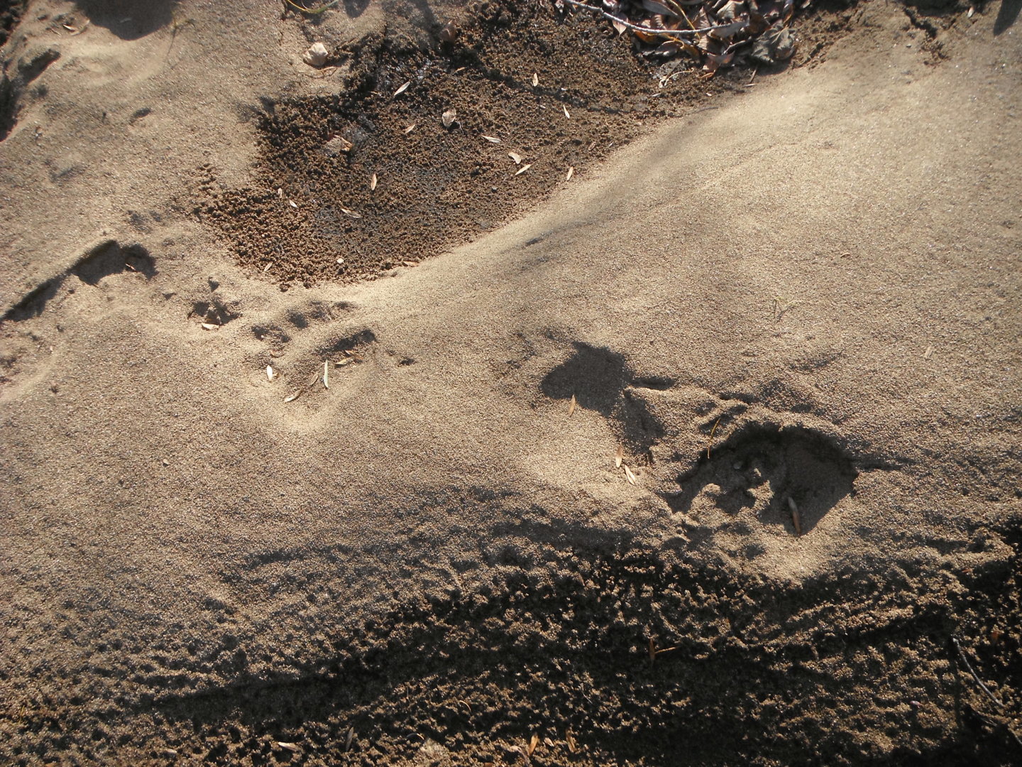 DSCF4400.JPG