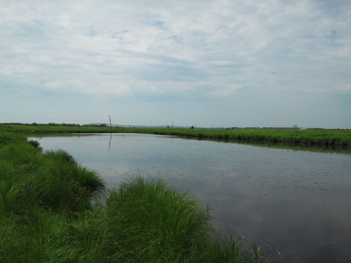 DSCF4482.JPG