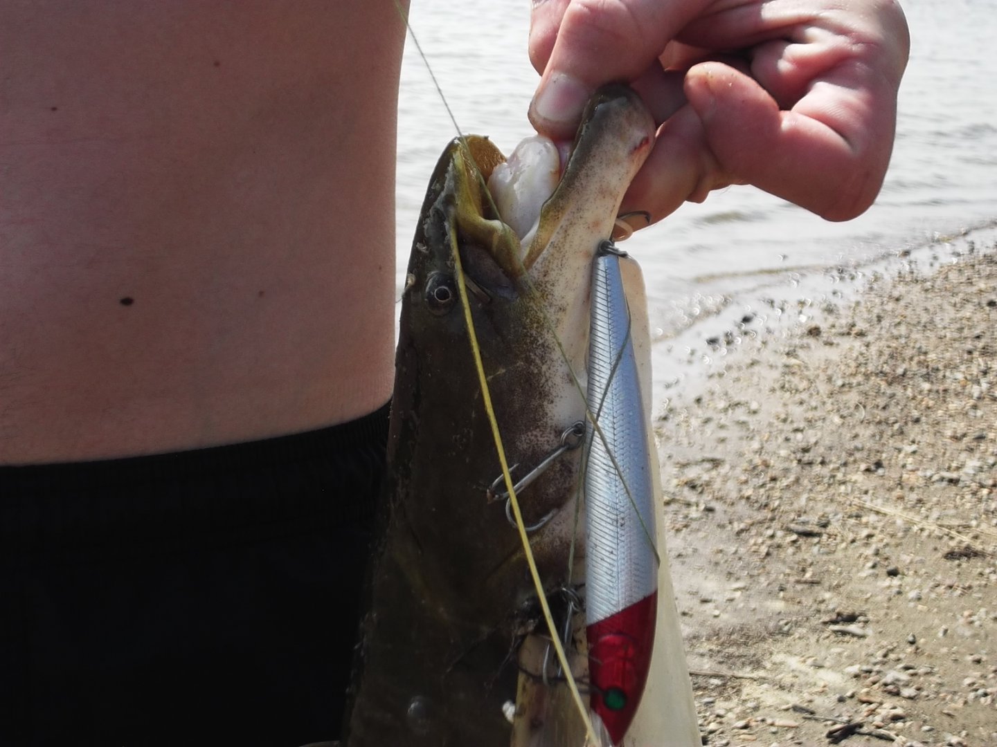 DSCF4570.JPG
