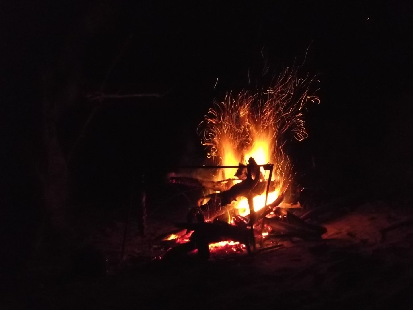 DSCF4619.JPG