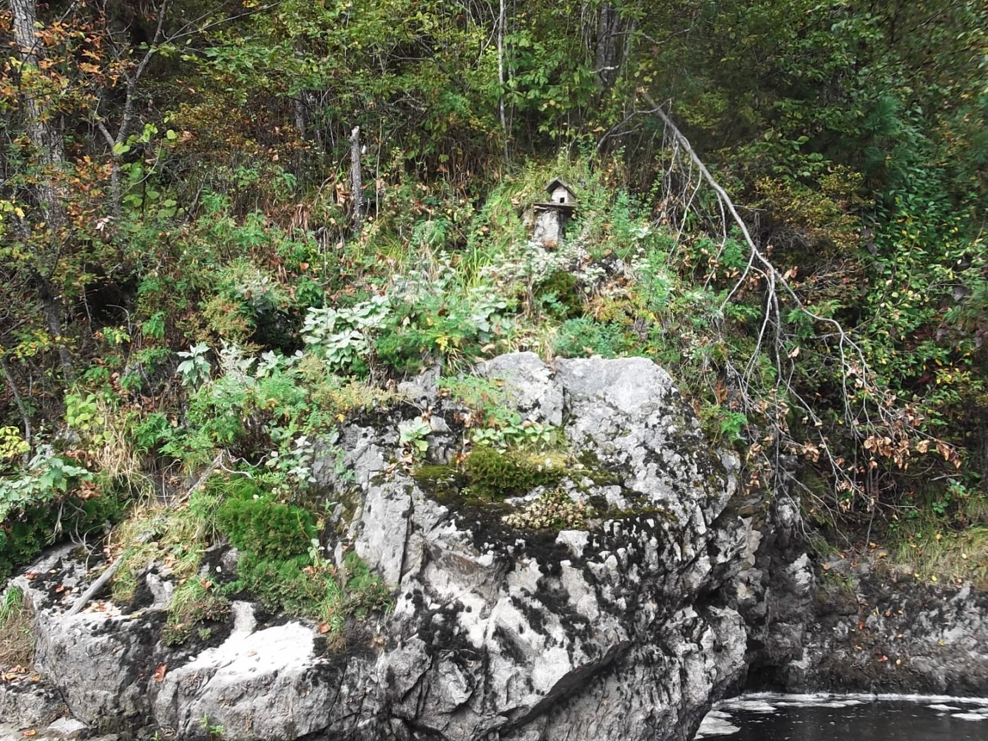 DSCF4751.JPG