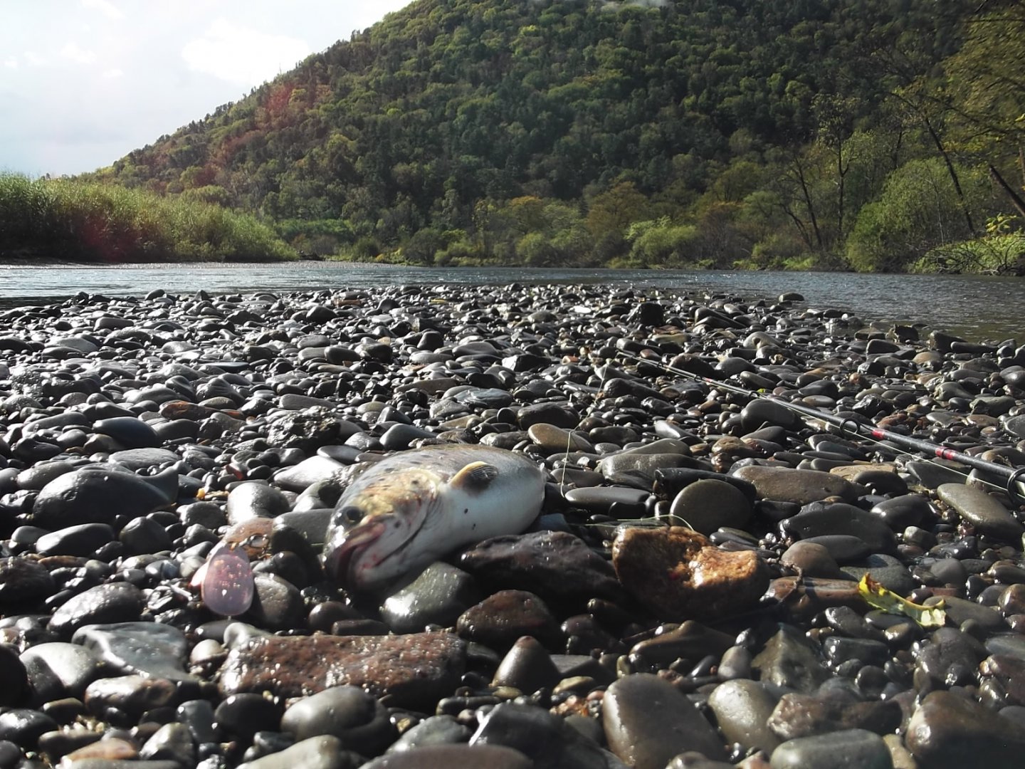 DSCF4816.JPG