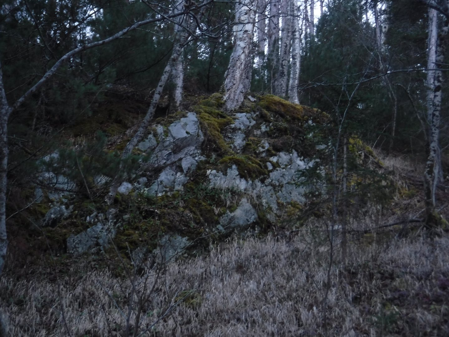 DSCF5012.JPG
